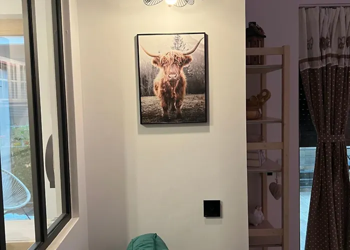 アパート Summer コンスタンツァ